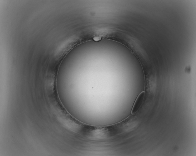 X0000112420505200908211149