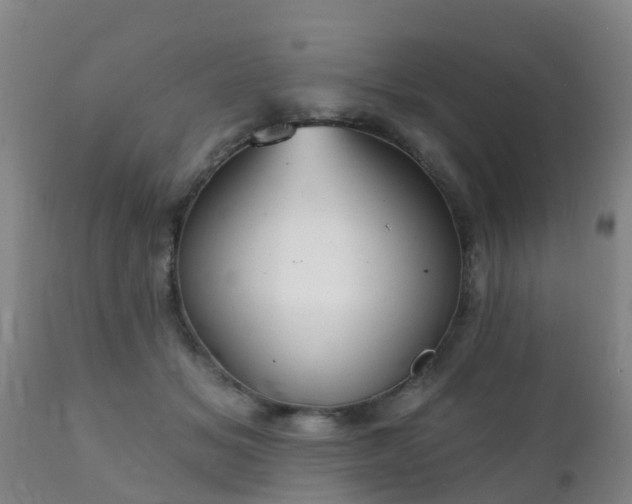 X0000112420509200908211149