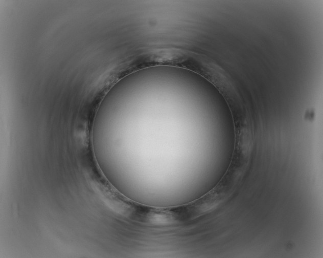 X0000112420510200908211149