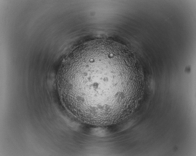 X0000112420511200908211149