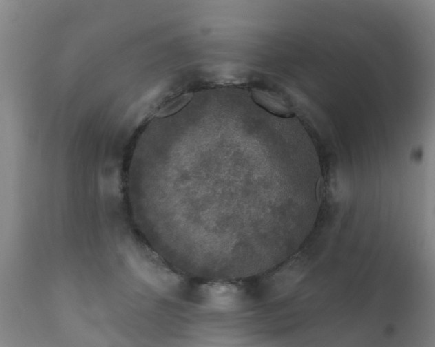 X0000112420512200908211149