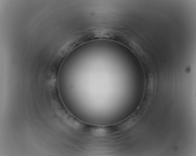 X0000112420513200908211149