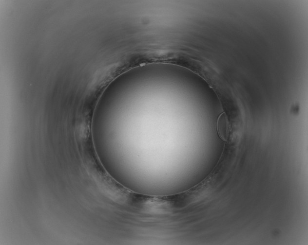 X0000112420515200908211149