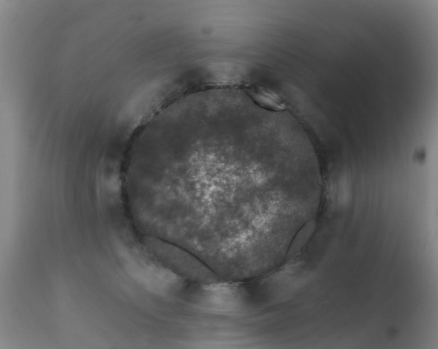 X0000112420516200908211149