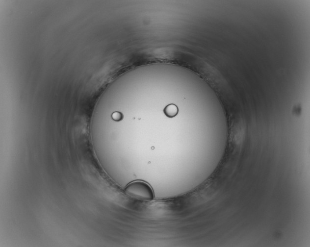 X0000112420518200908211149