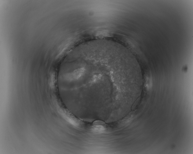 X0000112420519200908211149