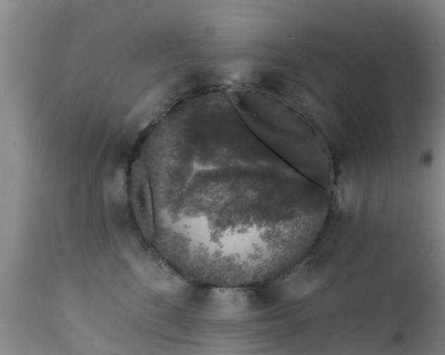 X0000112420520200908211149