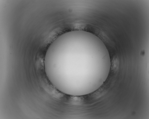 X0000112420522200908211149