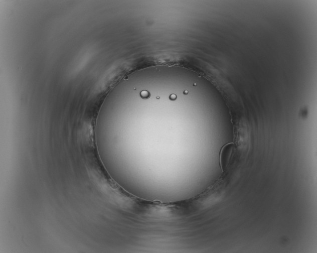 X0000112420523200908211149