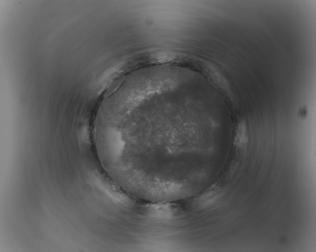 X0000112420524200908211149