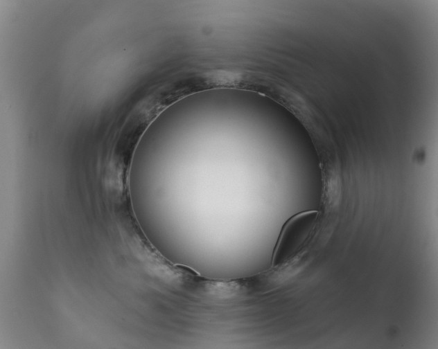 X0000112420525200908211149