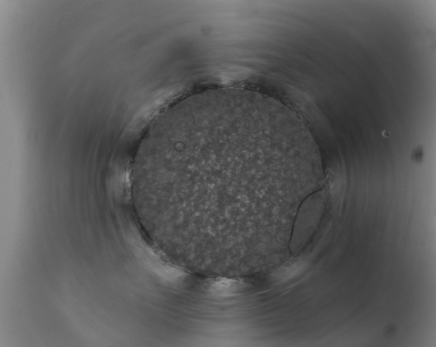 X0000112420527200908211149