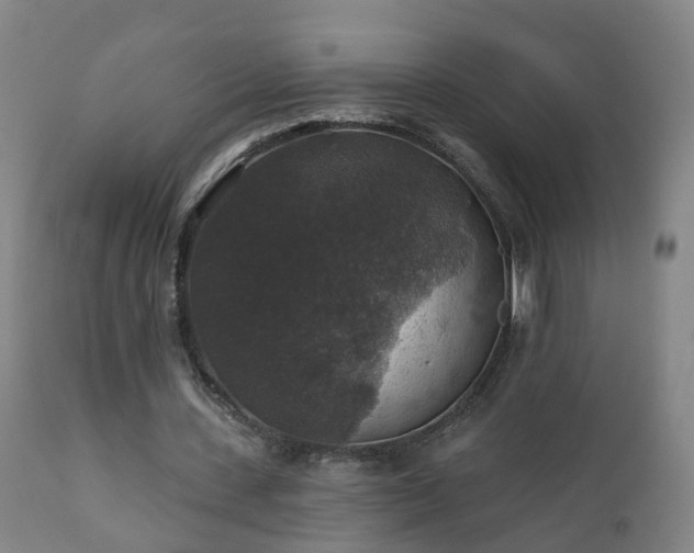 X0000112420531200908211148