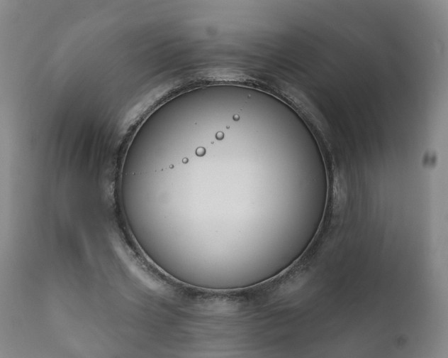 X0000112420533200908211148