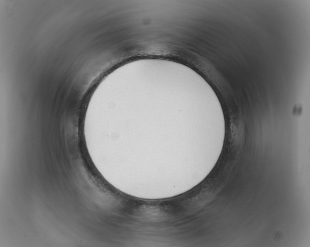 X0000112420534200908211148