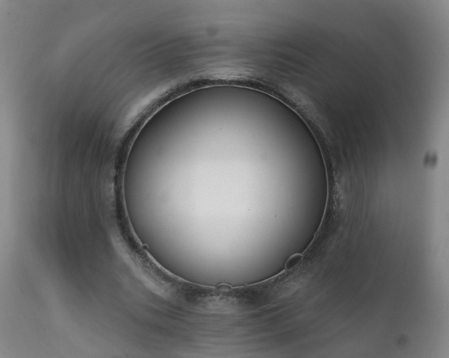 X0000112420535200908211148