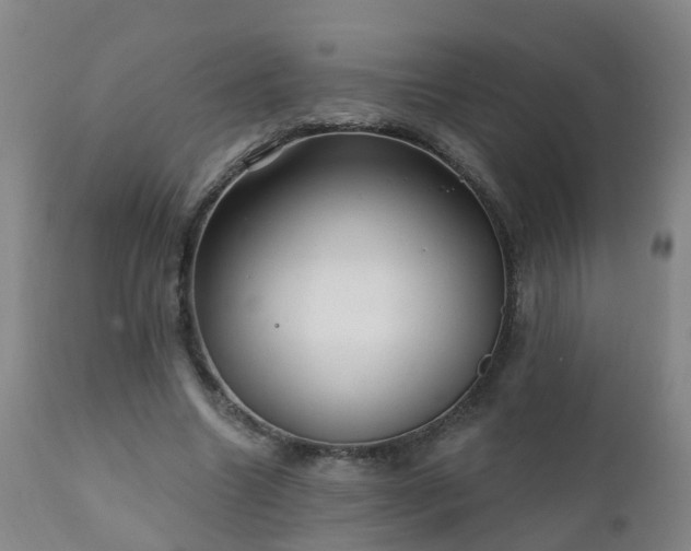 X0000112420538200908211148