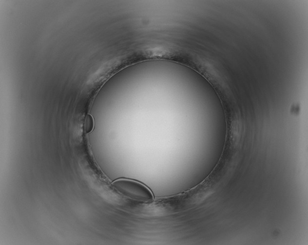 X0000112420545200908211148