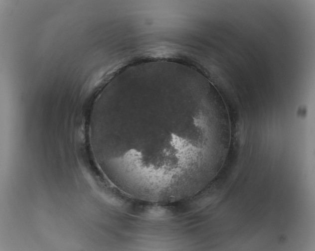 X0000112420547200908211148