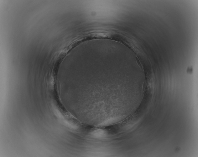 X0000112420551200908211148