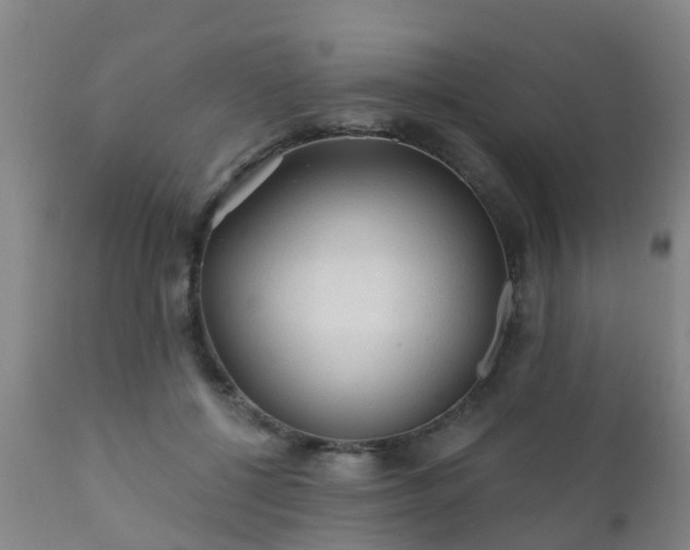 X0000112420552200908211148