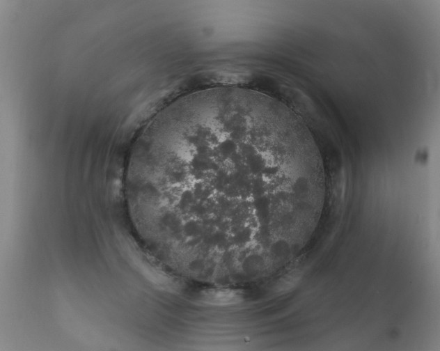 X0000112420553200908211148