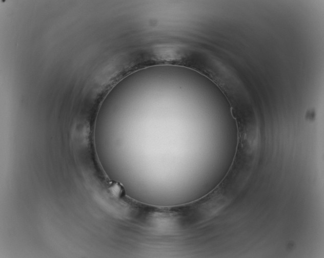 X0000112420556200908211148