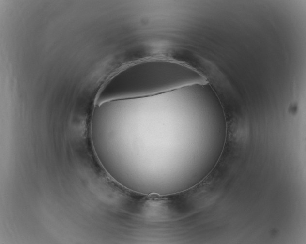 X0000112420560200908211148