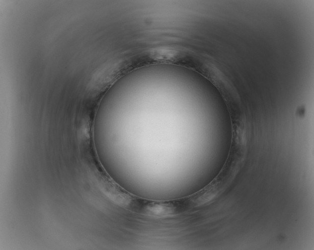 X0000112420561200908211148