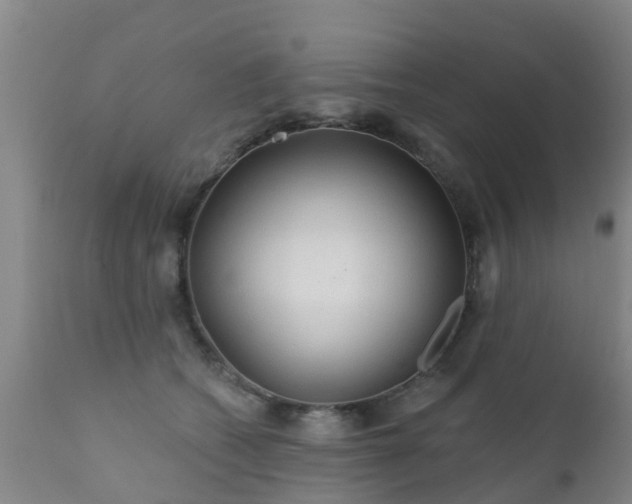 X0000112420562200908211148