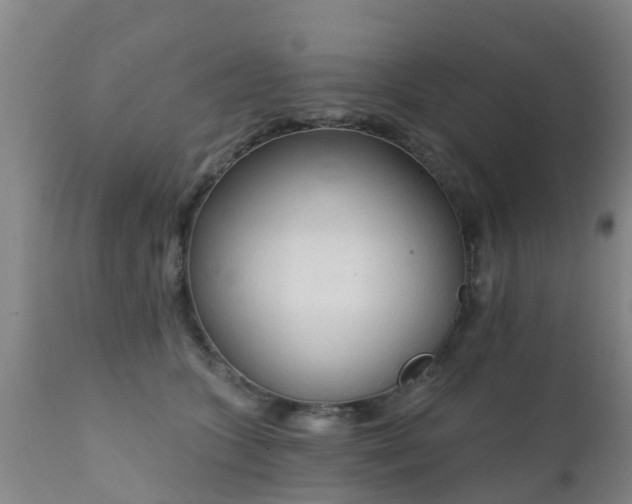 X0000112420563200908211148