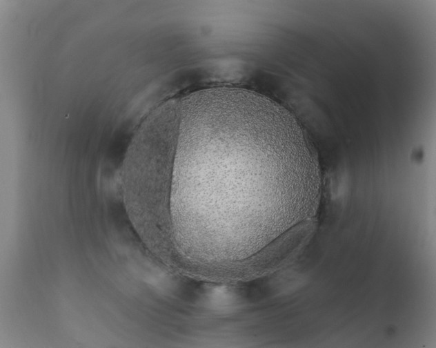 X0000112420564200908211148