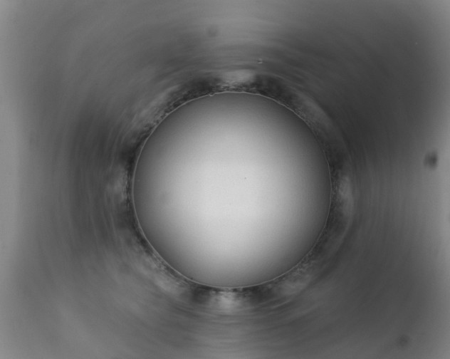 X0000112420565200908211148