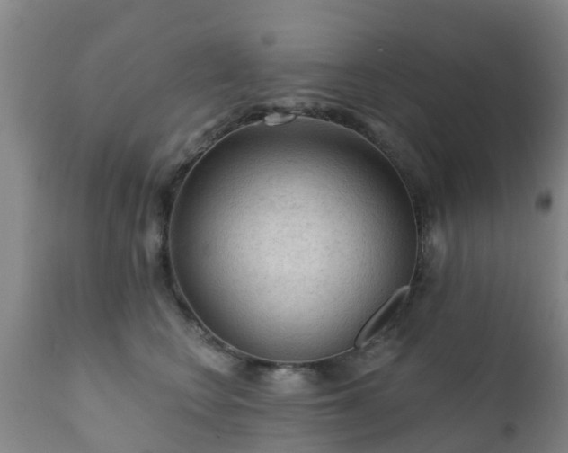 X0000112420566200908211148