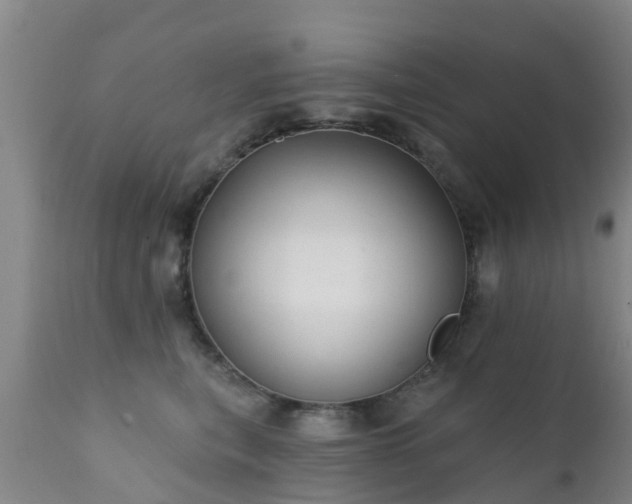 X0000112420567200908211148