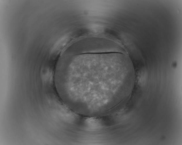 X0000112420568200908211148