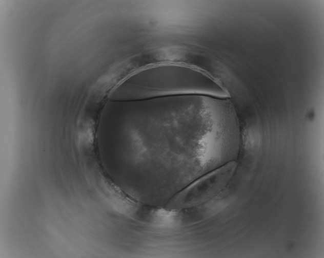 X0000112420570200908211148