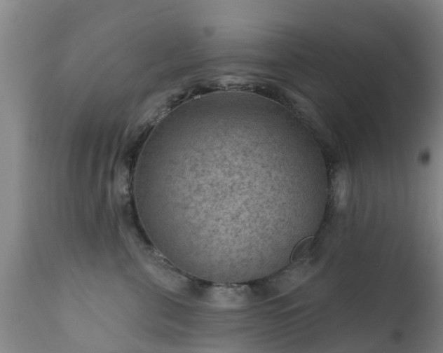 X0000112420571200908211149