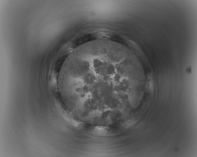 X0000112420573200908211149