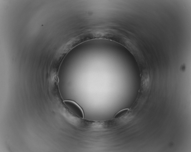 X0000112420574200908211149