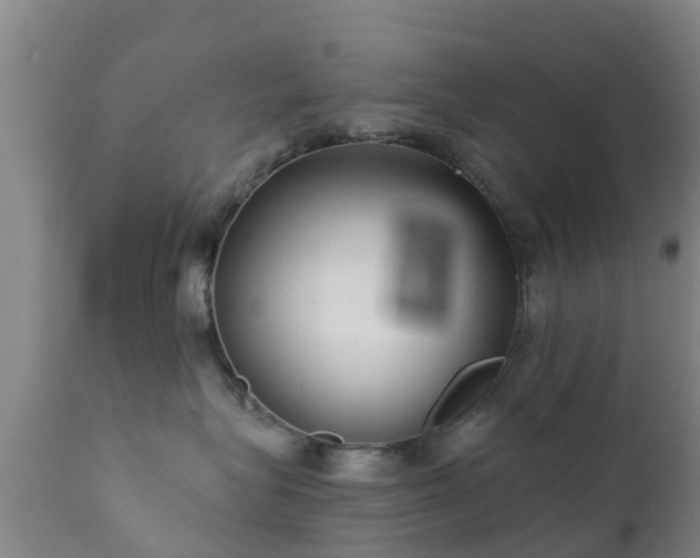 X0000112420575200908211149