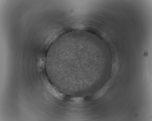 X0000112420576200908211149