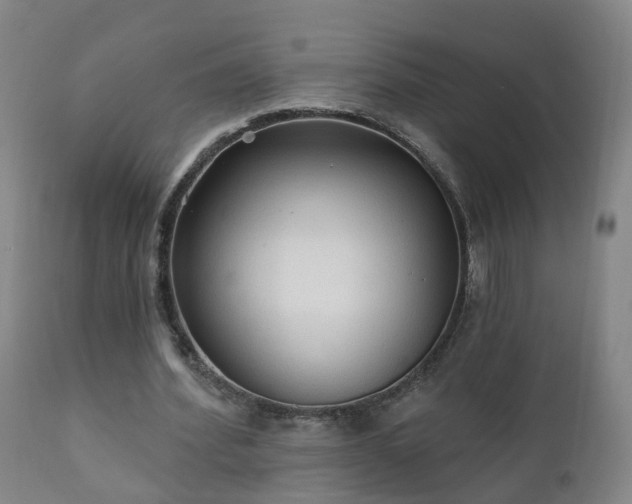 X0000112420580200908211148