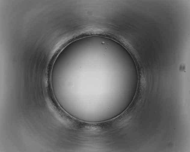 X0000112420582200908211148