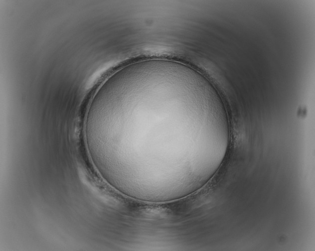 X0000112420583200908211148