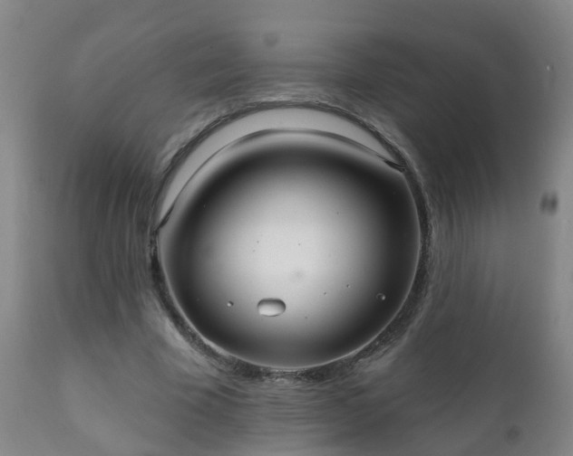 X0000112420585200908211148