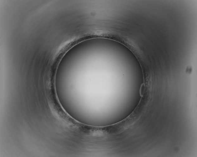 X0000112420587200908211148