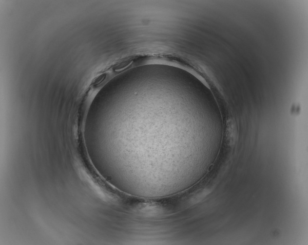 X0000112420589200908211148