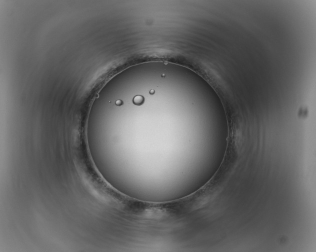 X0000112420591200908211148