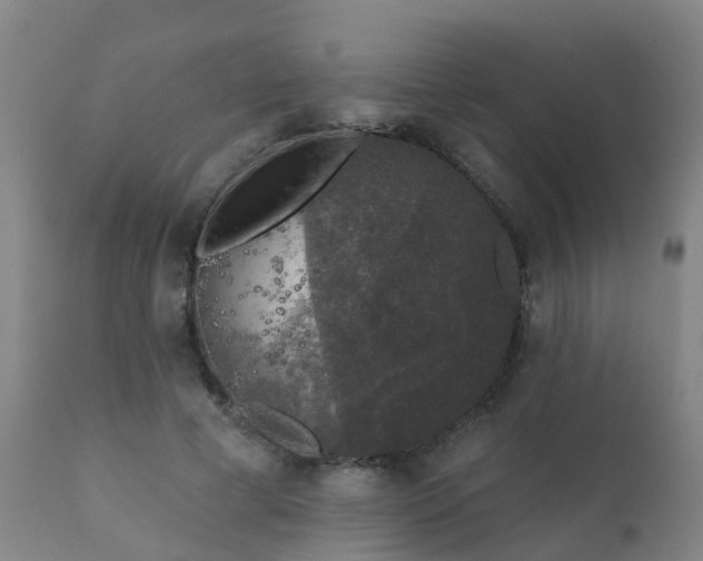 X0000112420593200908211148